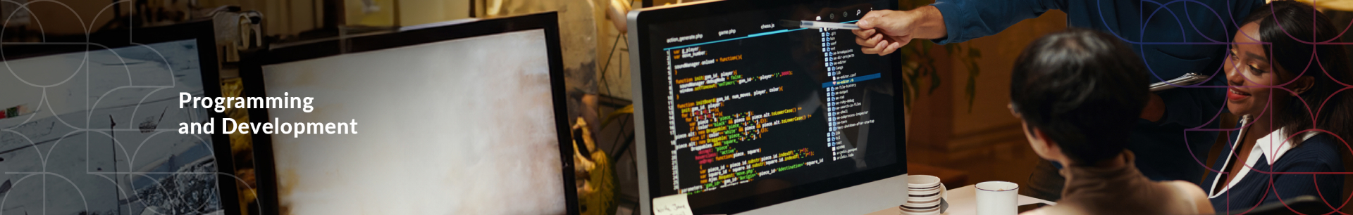 Programming and Development Banner